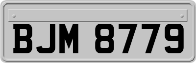 BJM8779