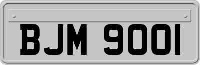 BJM9001