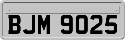 BJM9025