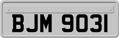 BJM9031