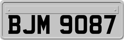 BJM9087