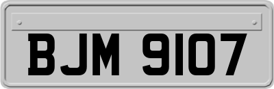 BJM9107