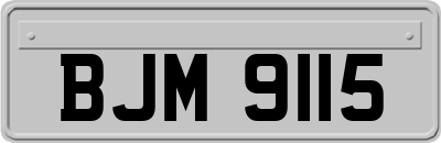 BJM9115