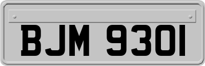 BJM9301