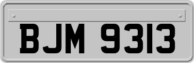 BJM9313
