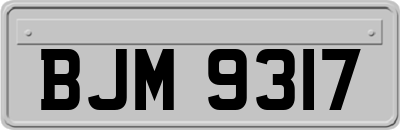 BJM9317