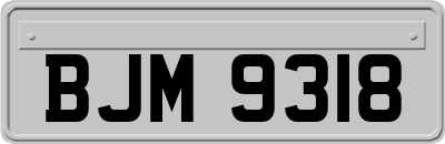 BJM9318