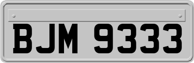 BJM9333