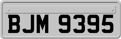 BJM9395