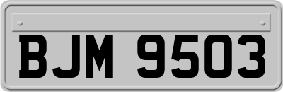 BJM9503