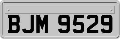BJM9529