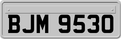 BJM9530
