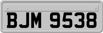 BJM9538