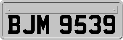 BJM9539