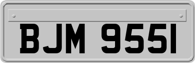 BJM9551