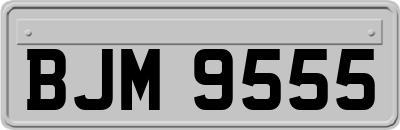 BJM9555