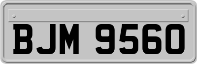BJM9560