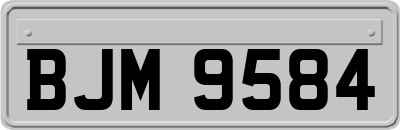 BJM9584