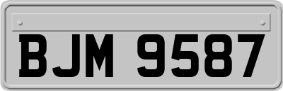 BJM9587