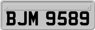 BJM9589