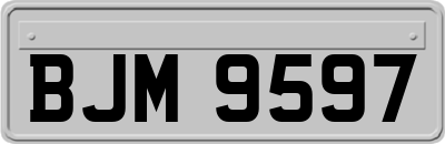 BJM9597