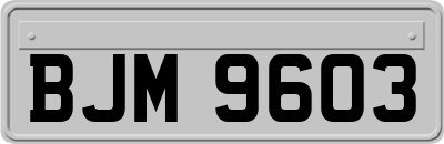 BJM9603