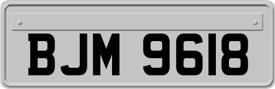 BJM9618
