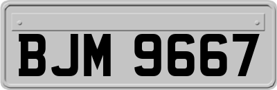 BJM9667