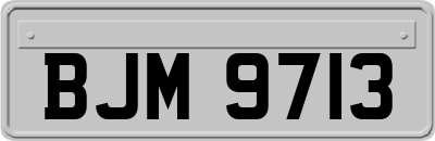 BJM9713