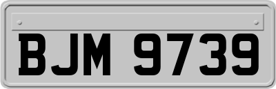 BJM9739