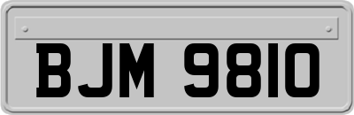 BJM9810