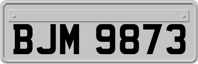 BJM9873