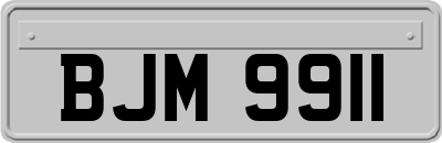 BJM9911