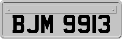 BJM9913