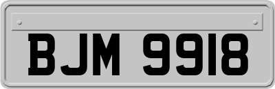 BJM9918
