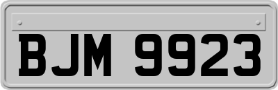 BJM9923
