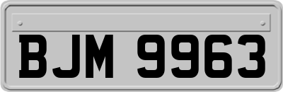 BJM9963