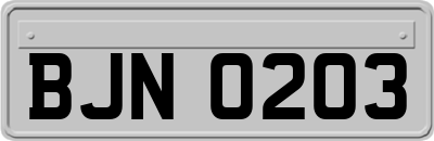BJN0203