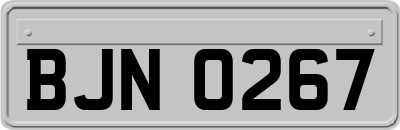 BJN0267