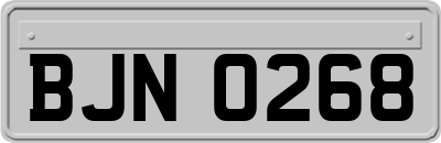 BJN0268