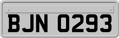 BJN0293