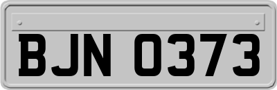 BJN0373
