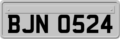 BJN0524