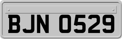 BJN0529