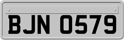 BJN0579