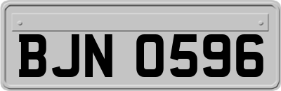 BJN0596