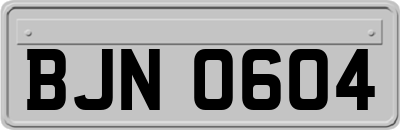 BJN0604