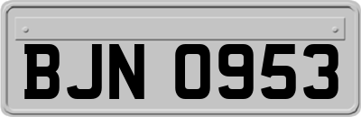 BJN0953