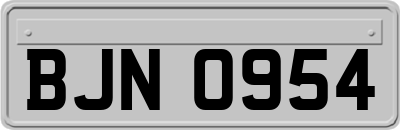 BJN0954