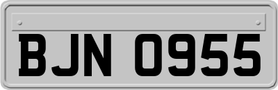 BJN0955